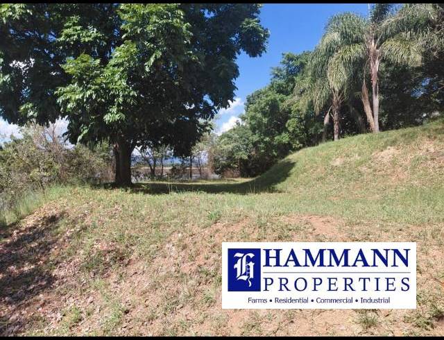 FARM FOR SALE IN LEVUBU